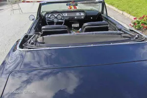 Veteranbildagen 2009, bilde 30