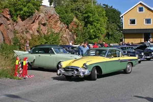 Veteranbildagen 2010, bilde 6