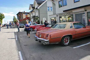 Veteranbildagen 2010, bilde 14