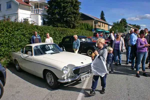 Veteranbildagen 2010, bilde 19