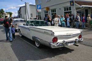 Veteranbildagen 2010, bilde 20