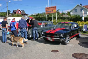 Veteranbildagen 2010, bilde 29