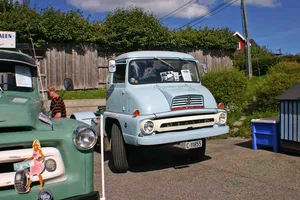 Veteranbildagen 2010, bilde 31