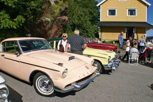 Veteranbildagen 2010, bilde 52