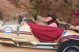 Veteranbildagen 2014, bilde 22