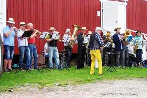 Veteranbildagen 2014, bilde 27