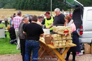 Veteranbildagen 2014, bilde 28